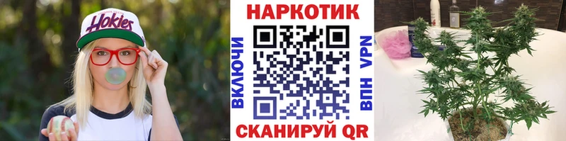 Сколько стоит Николаевск Амфетамин Мефедрон ГАШИШ