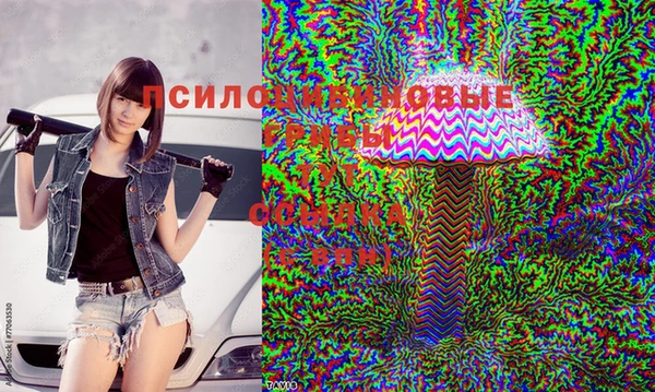 мяу мяу мука Протвино