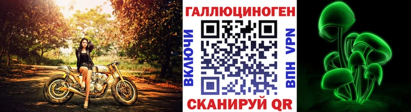 Галлюциногенные грибы Psilocybe  Николаевск 